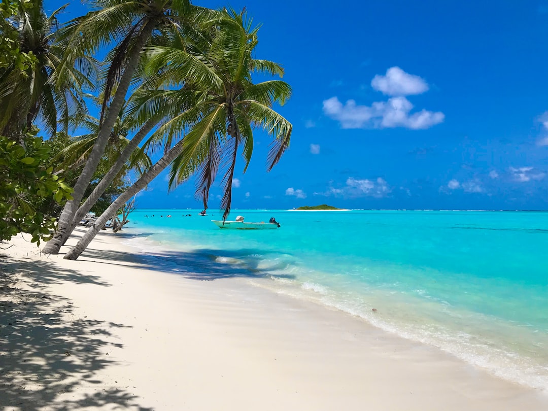 Tropical Beach Resort