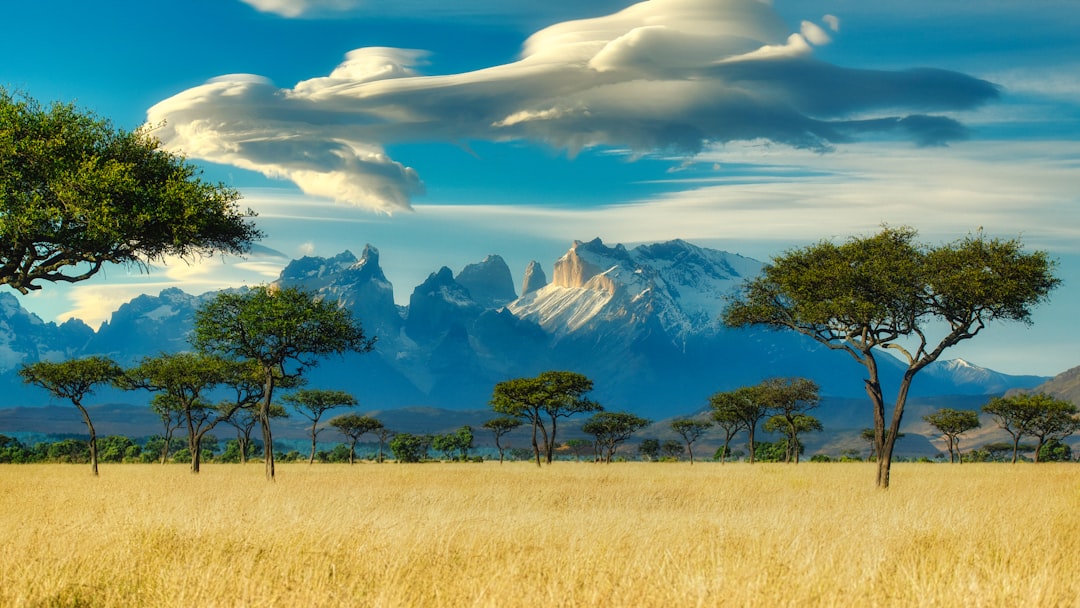 Honeymoon Destination